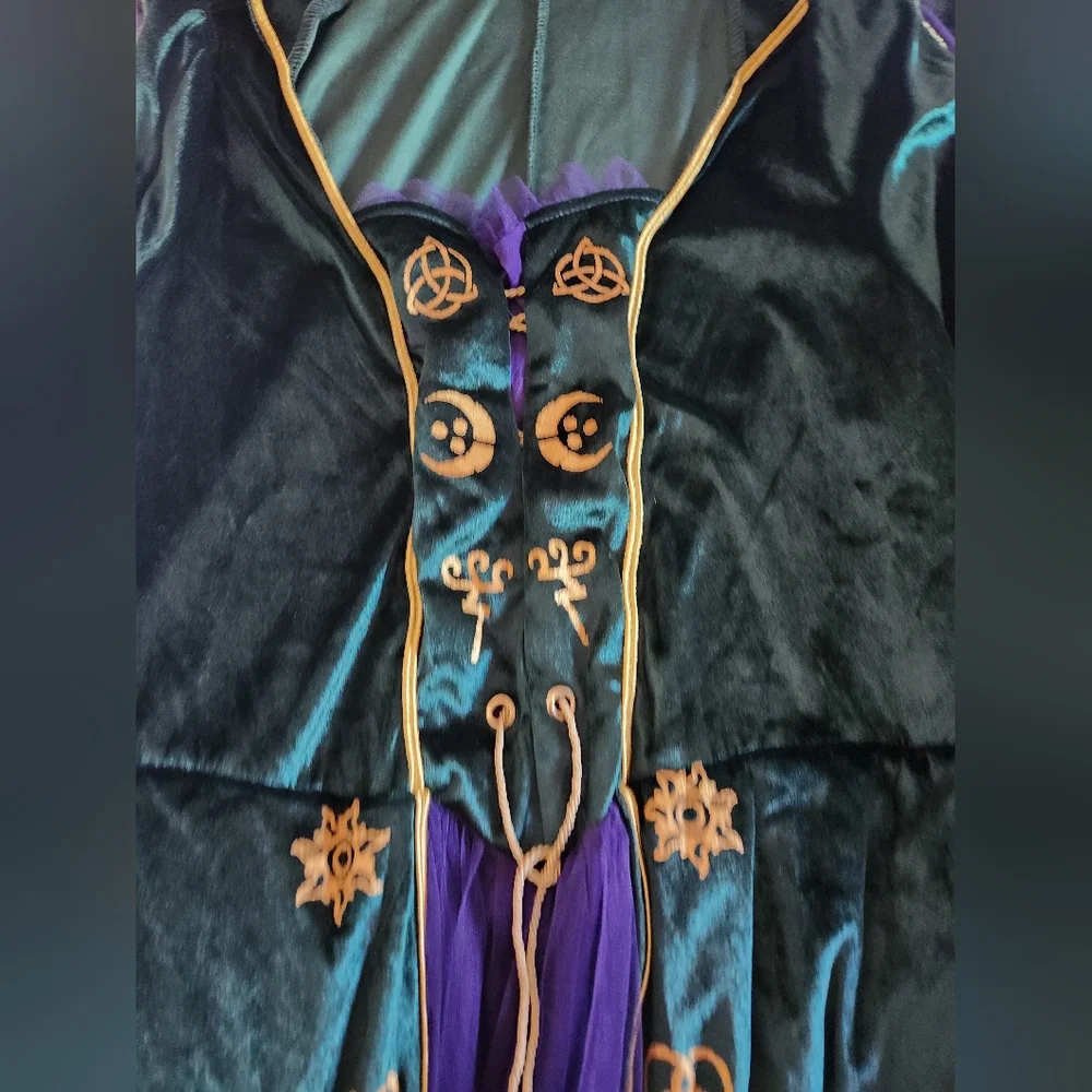 Disney Hocus Pocus Costume  2X Winnie Sanderson - Picture 10 of 12